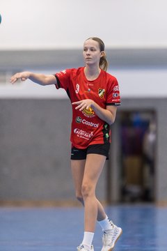 Bild 145 - wCJ TSV Ellerbek - AMTV Hamburg 2 : Ergebnis: 25:20